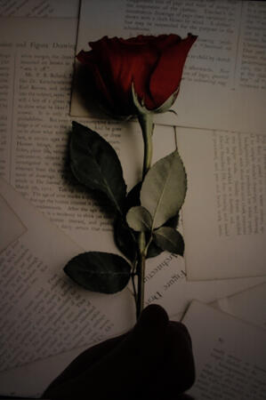 Je te tiens une rose