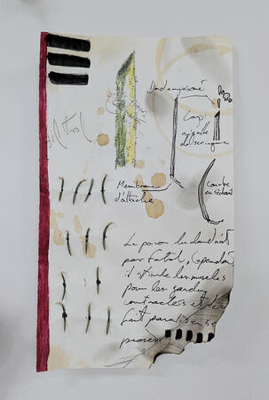 Multi exploration 12